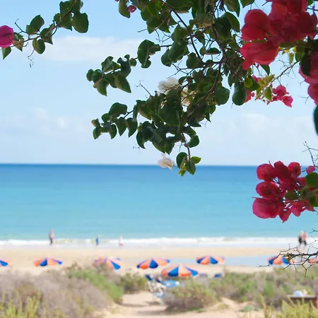 Sbh Taro Costa Calma